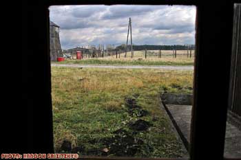 IMG_ (10854)